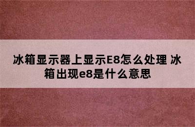 冰箱显示器上显示E8怎么处理 冰箱出现e8是什么意思